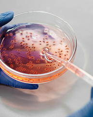 Bacteria Repellent for Cleaner Spaces